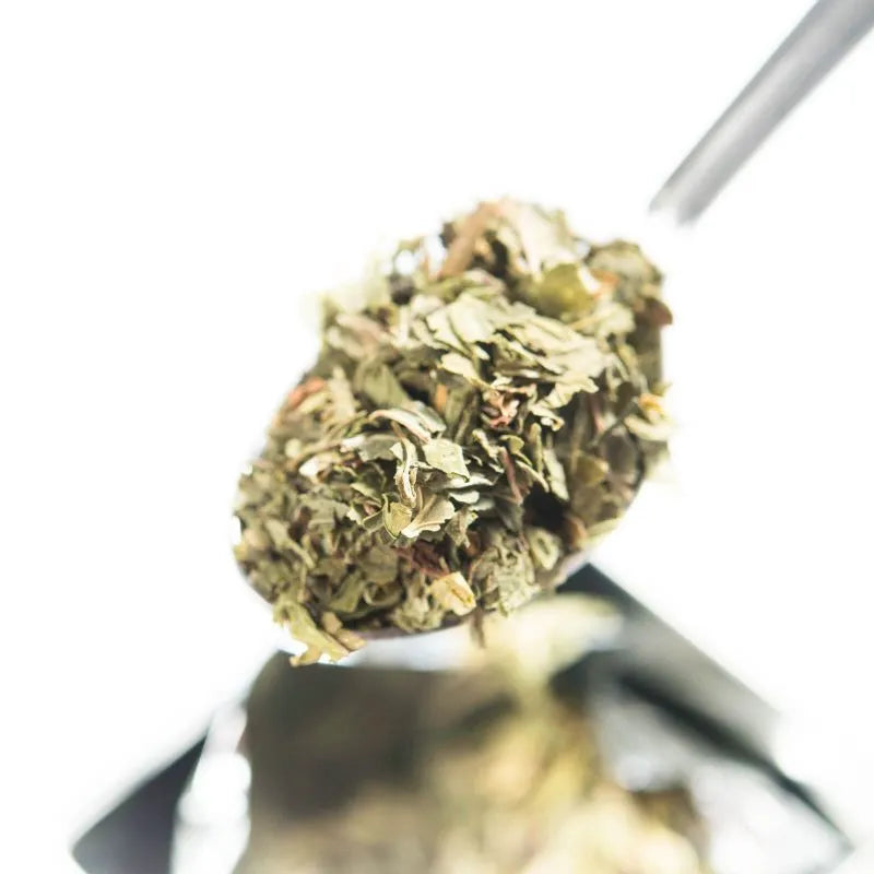 Dilmah t-Series Pure Peppermint Leaves - Med Caddy in Bahrain | Trans Arabia International